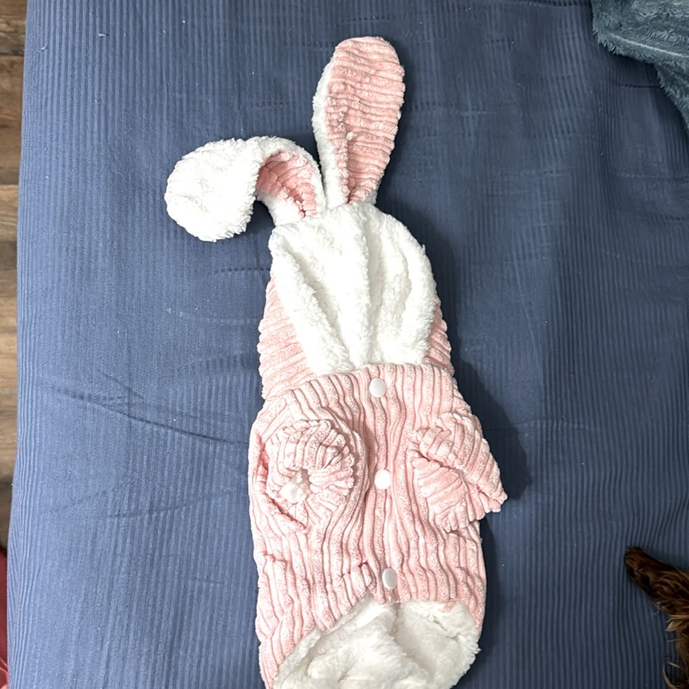 Corduroy hooded doggie coat